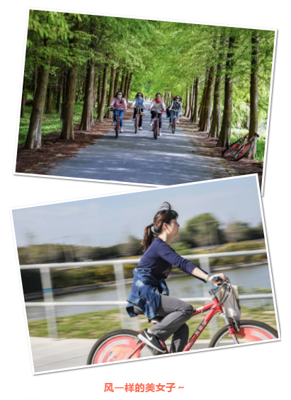 2020年第五届上海崇明职工文化体育健康活动趣味（自行车）定向赛圆满落幕！ 资讯动态 第6张